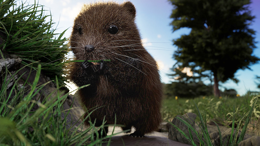 Help Save Our Upland Water Voles